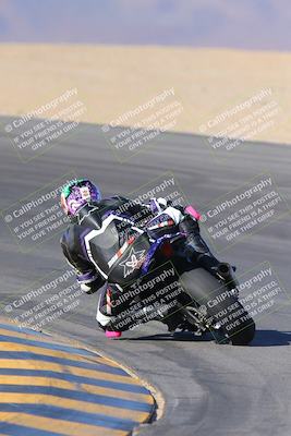 media/Nov-12-2023-SoCal Trackdays (Sun) [[5d1fba4e7d]]/Turn 10 Backside (115pm)/